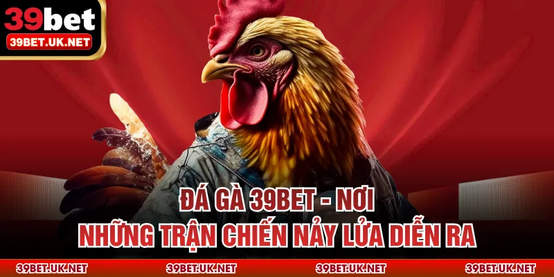 Đá gà 39bet - Nơi những trận chiến nảy lửa diễn ra